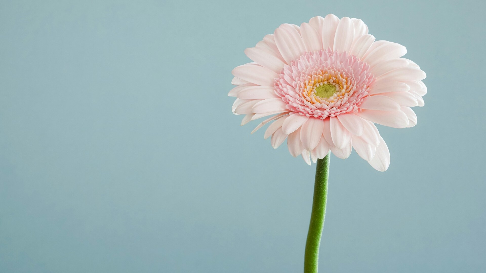 Where should we begin?