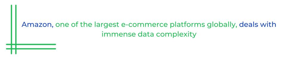 Amazon, one of the largest e-commerce platforms globally, deals with immense data complexity