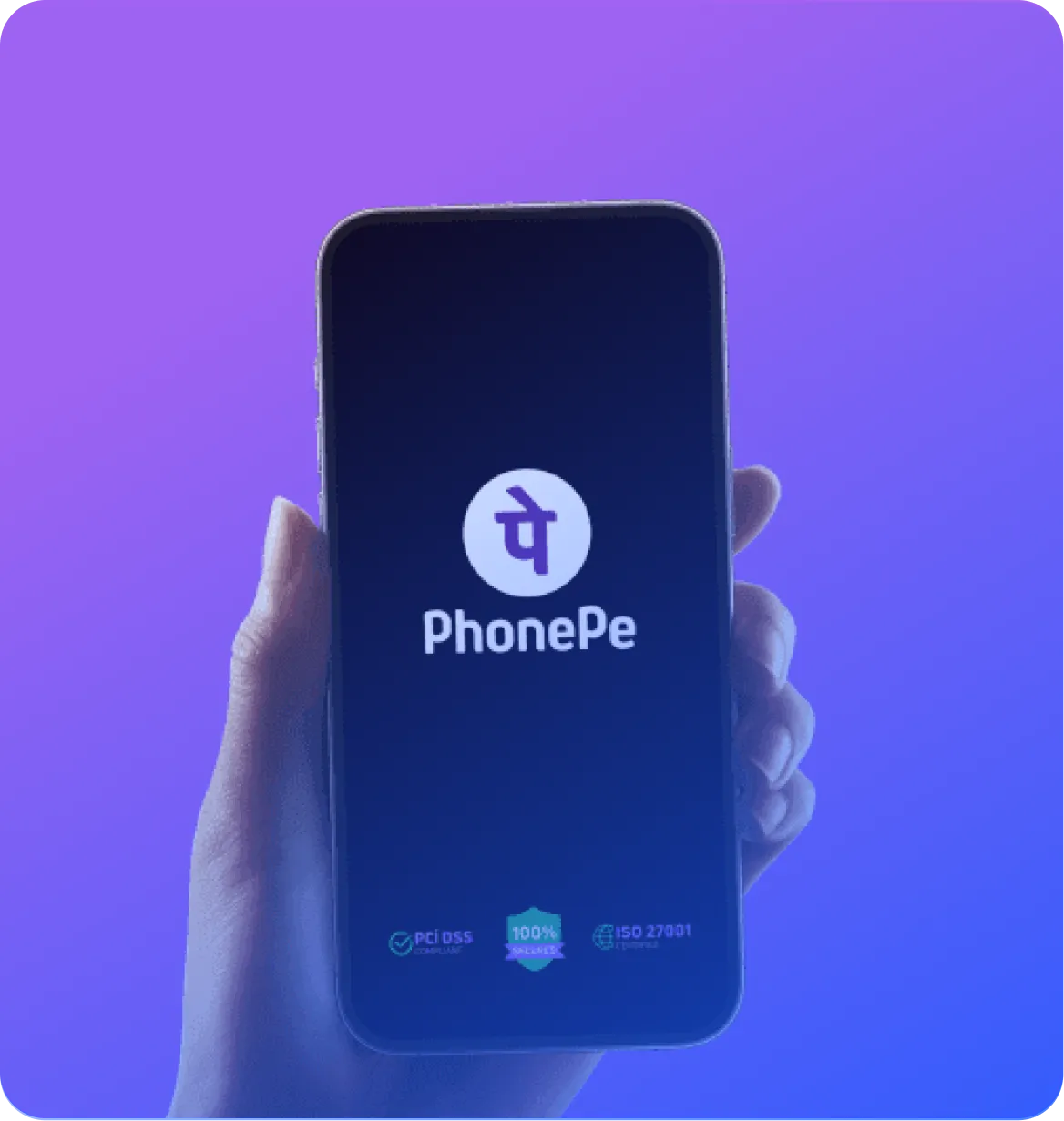 Accel data customer guide Phonepe