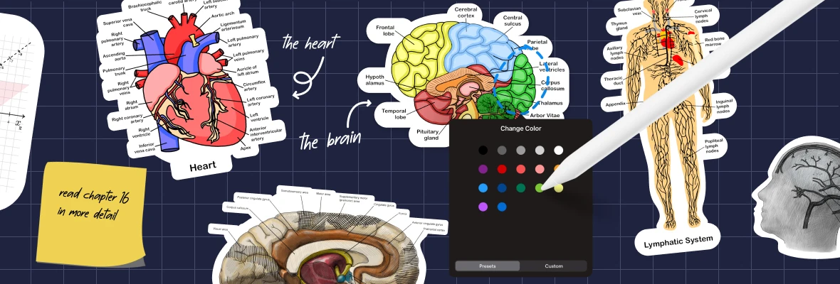 How to Use Editable Stickers on Goodnotes