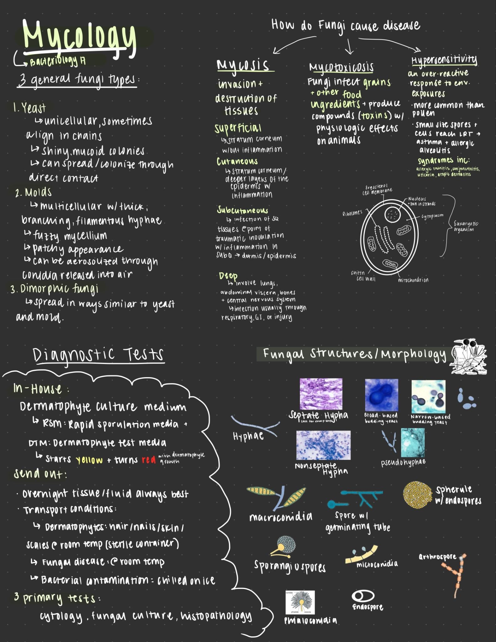 Summary sheet for veterinary school