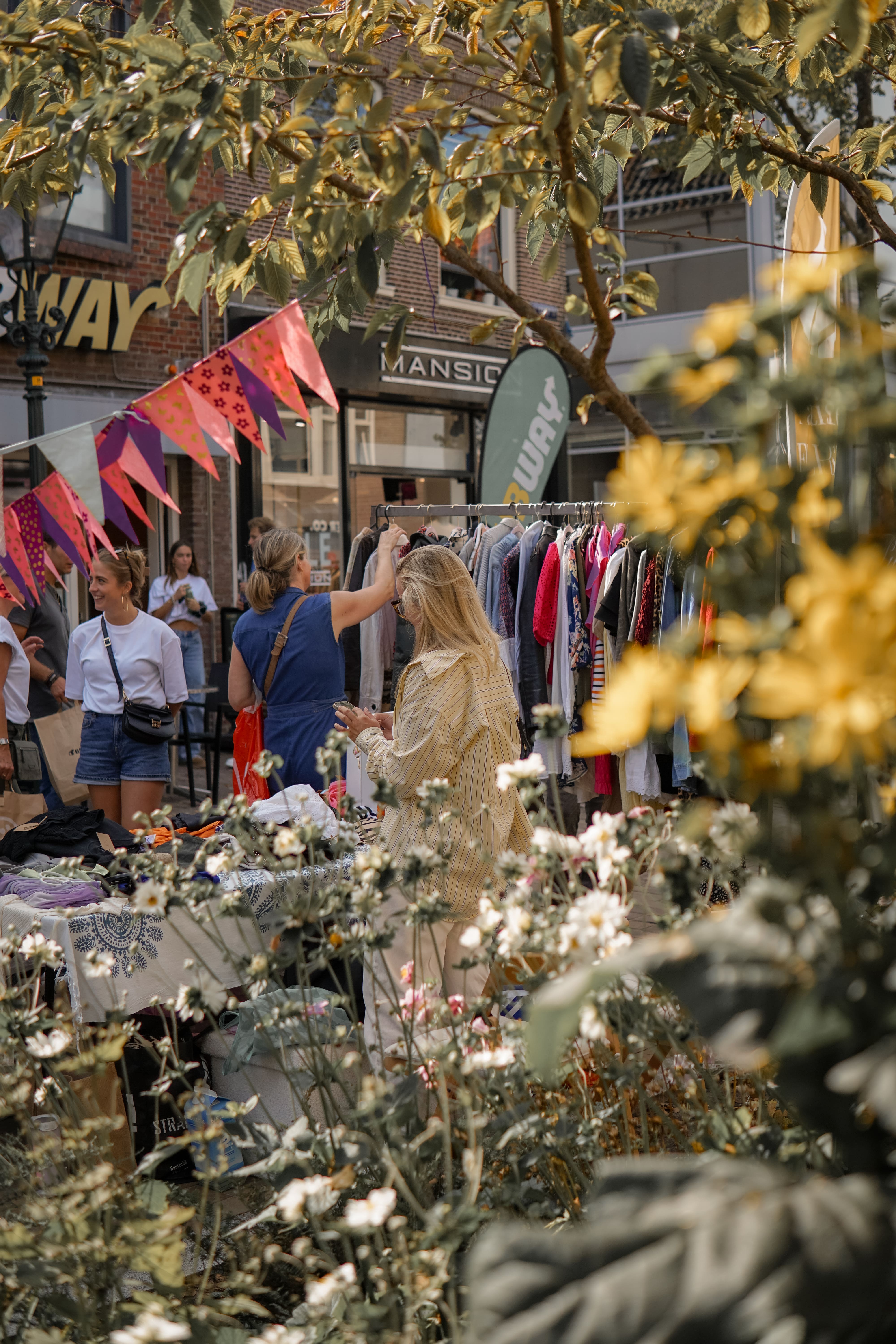 Zomereditie - Alkmaar