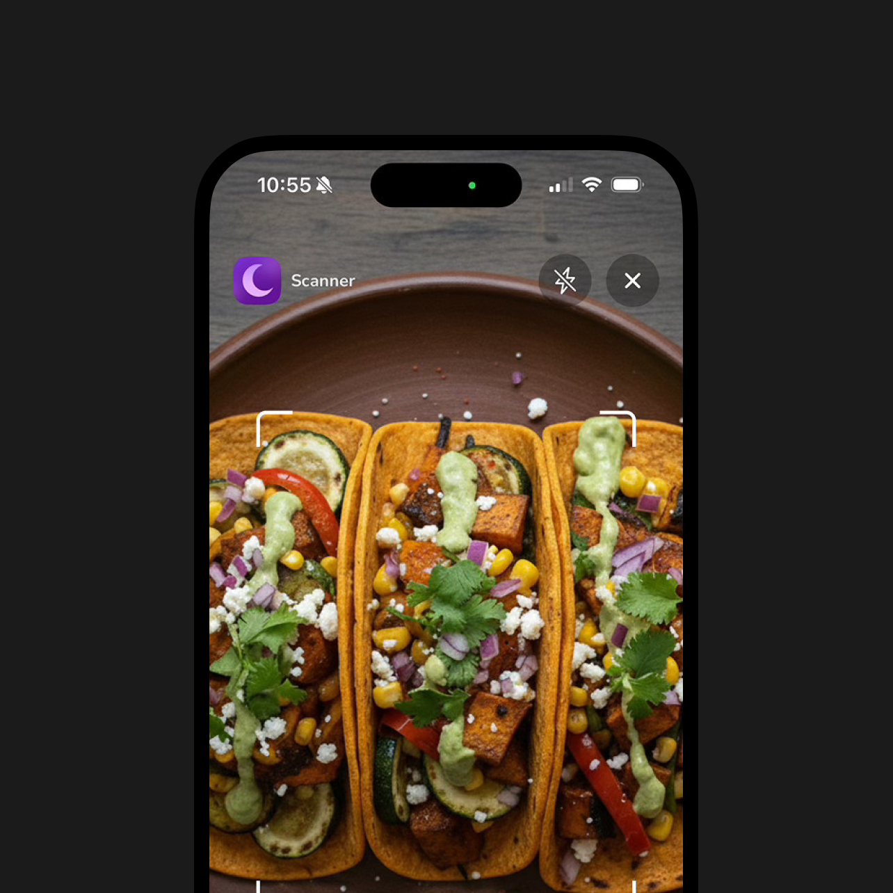 Selena PCOS App - Now available on iOS & Android