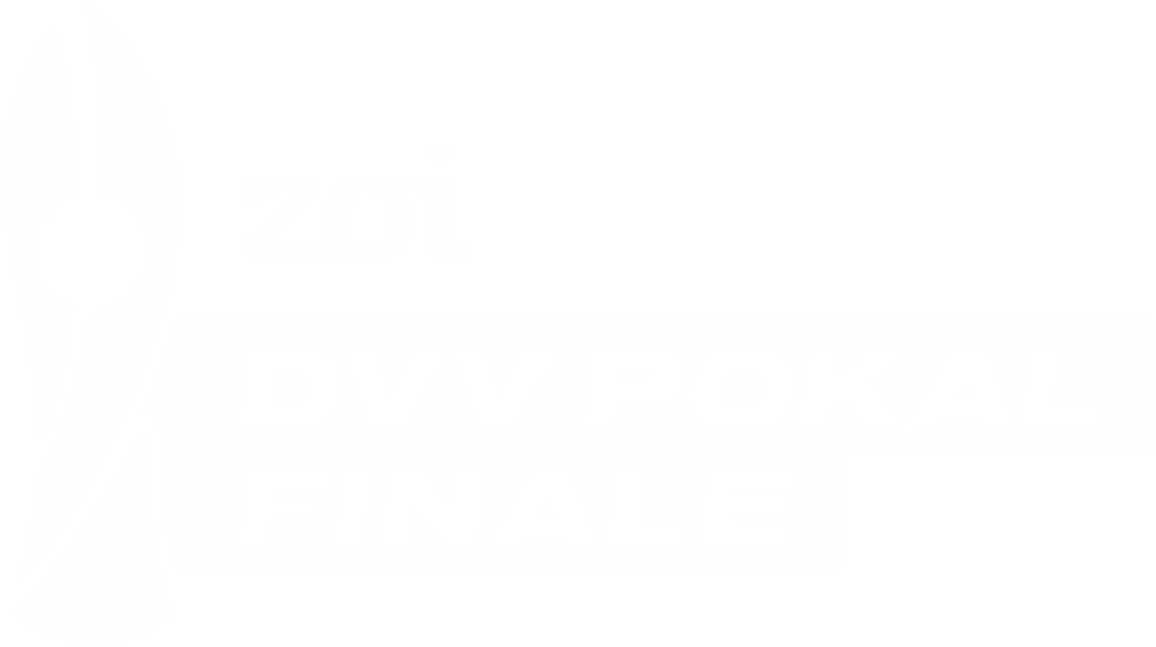 Zoi DVV Pokal Finale logo with stylized trophy.