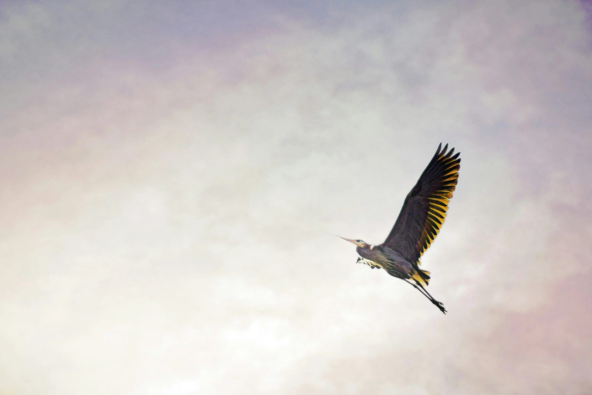 File quality preservation with Sprend: No details missed