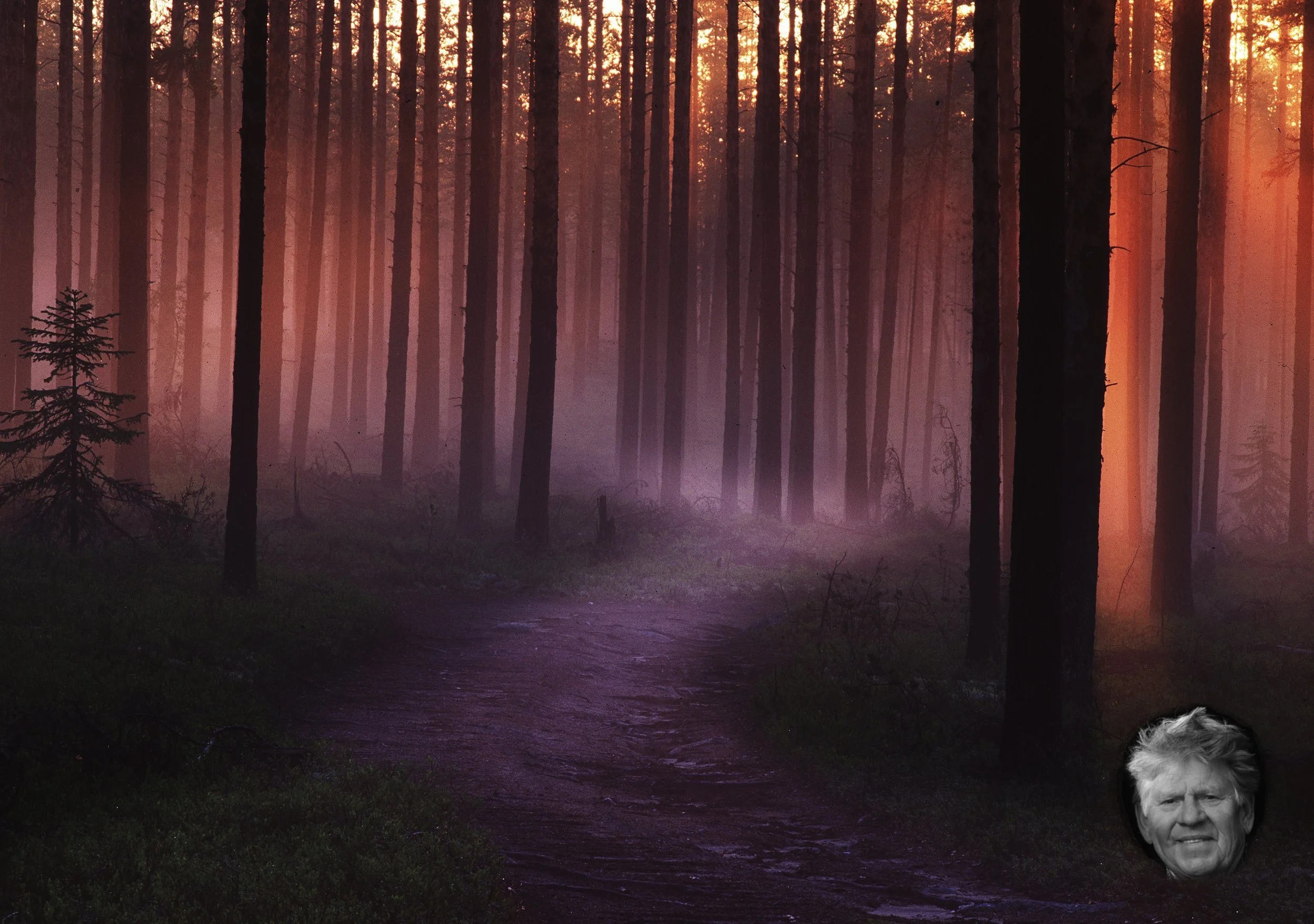 Vad används Sprend till?