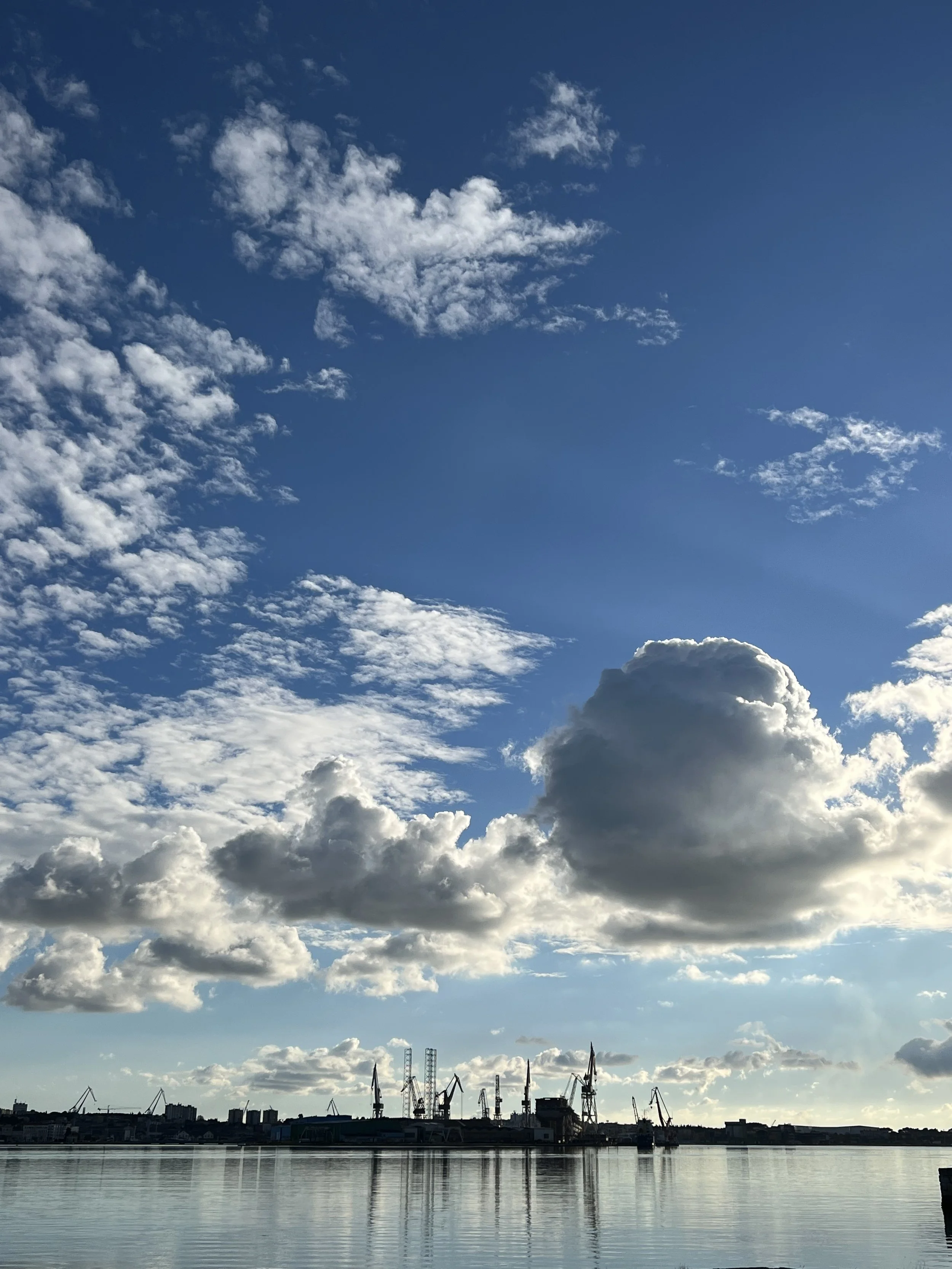 In pursuit of a new working place