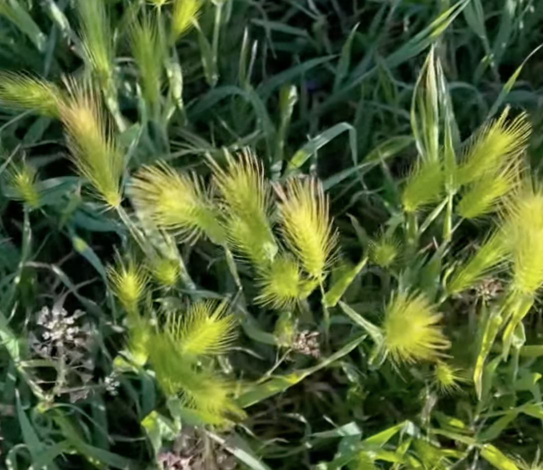 Sprend in scenes from everyday life