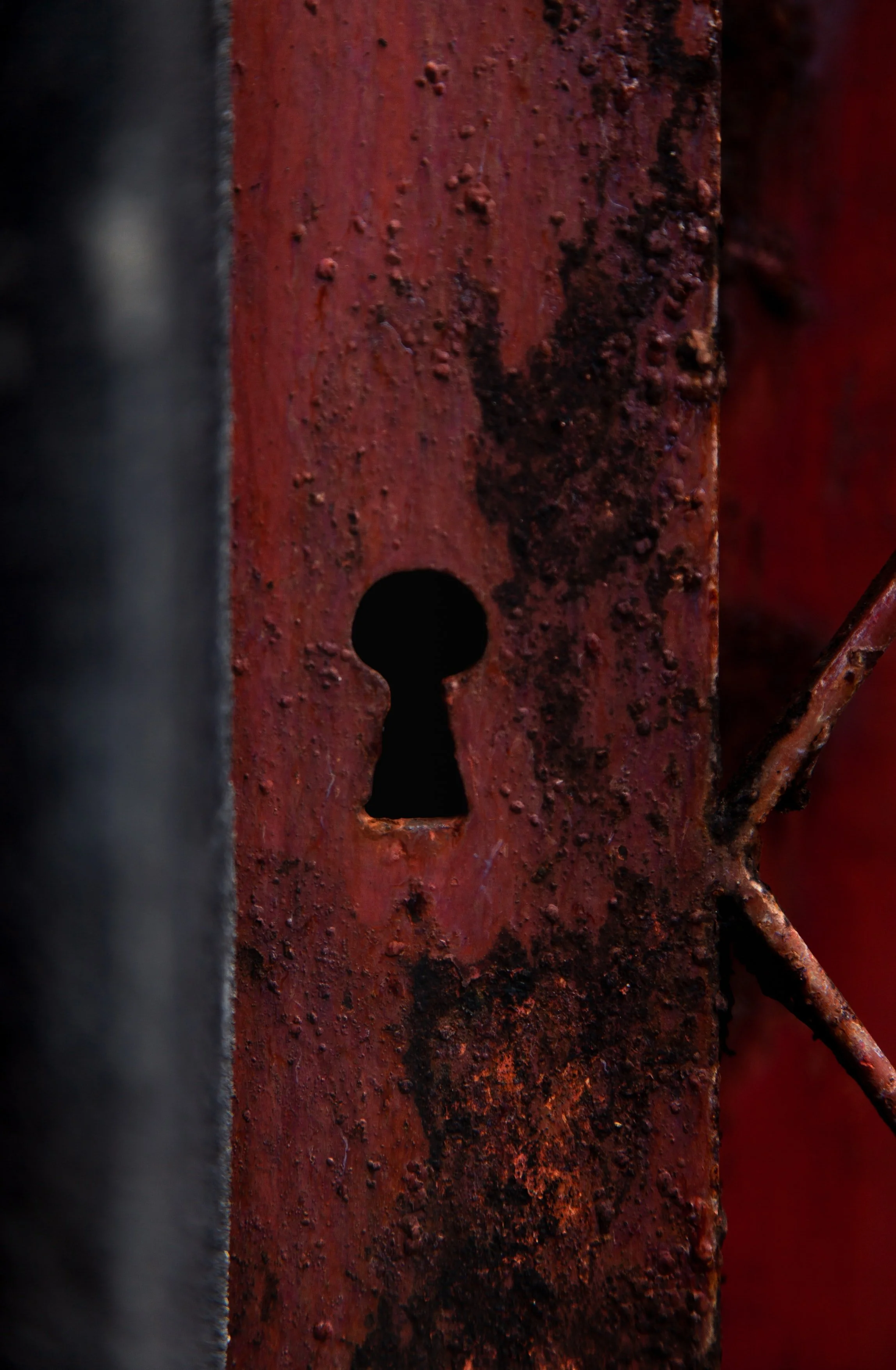  Photo by Deleece Cook (Unsplash) 