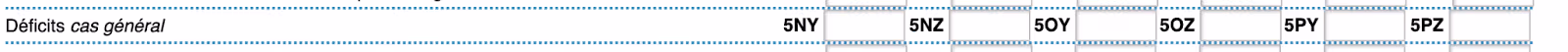 tuto : remplir sa déclaration de revenu ; screenshot case de formulaire ; 5NY ; 5NZ ; 5OY ; 5OZ ; 5PY ; 5PZ