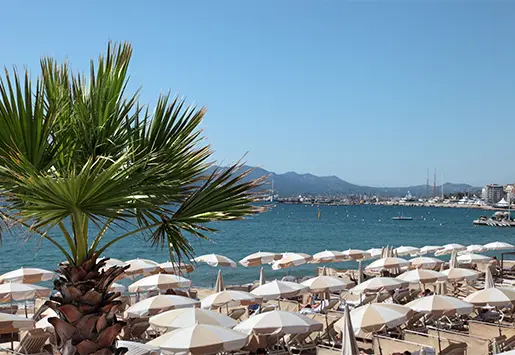 Ville de Cannes autour de l'Hôtel Lepoussin.