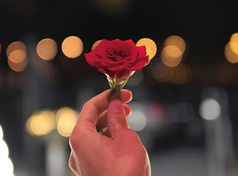 Geste romantique d’une personne offrant une rose