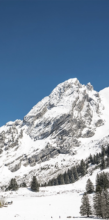 Ski et activités st alban la clusaz