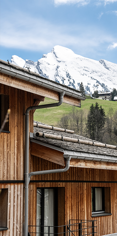 Facade of St-Alban with the snowy mountain in the background