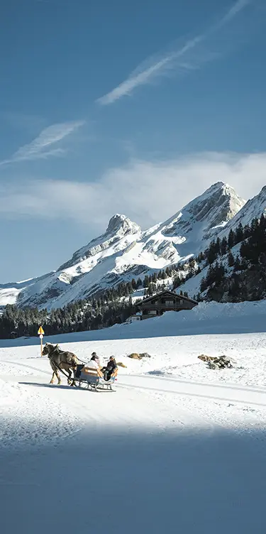 Paysage enneigé à La Clusaz