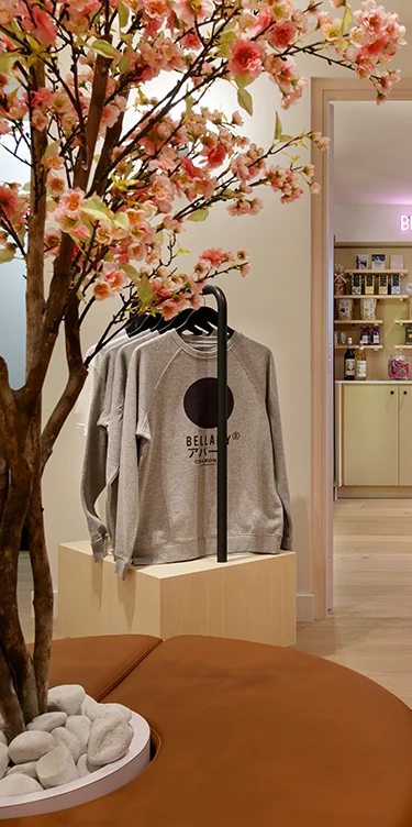 Entrée des appartements Bellamy Chamonix