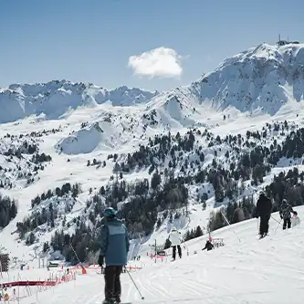 Affiche La Plagne Araucaria