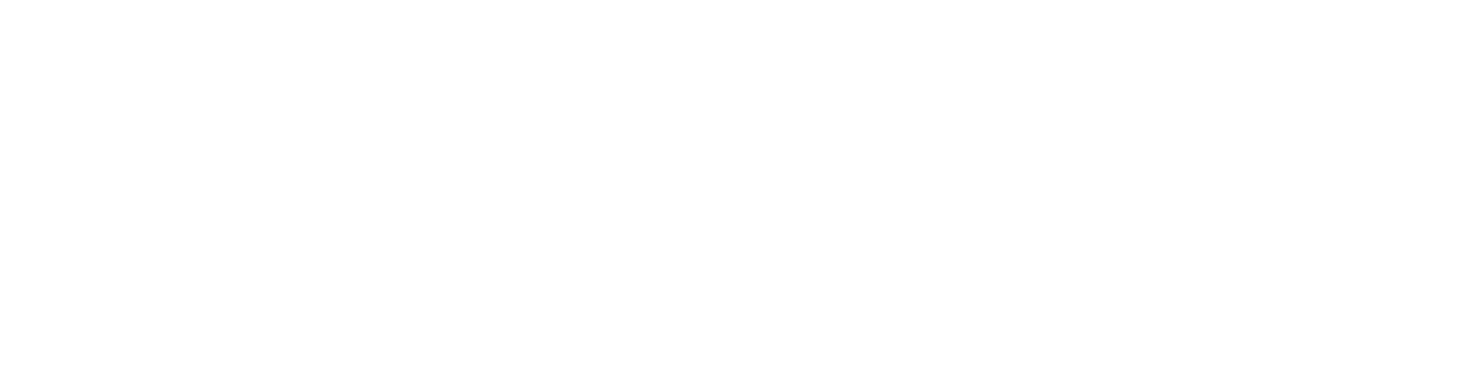 DataDoe