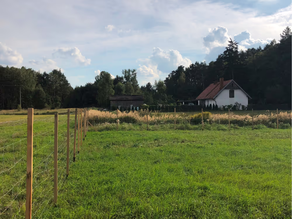 Działka z domem w Potrzanowie, w tle las