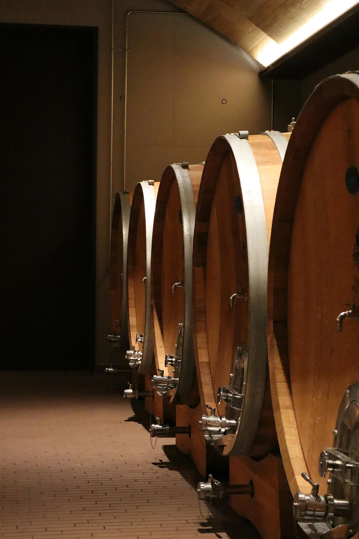 Alignement de grands fûts de chêne dans une cave à vin traditionnelle à Saint-Tropez pour le vieillissement du vin local.