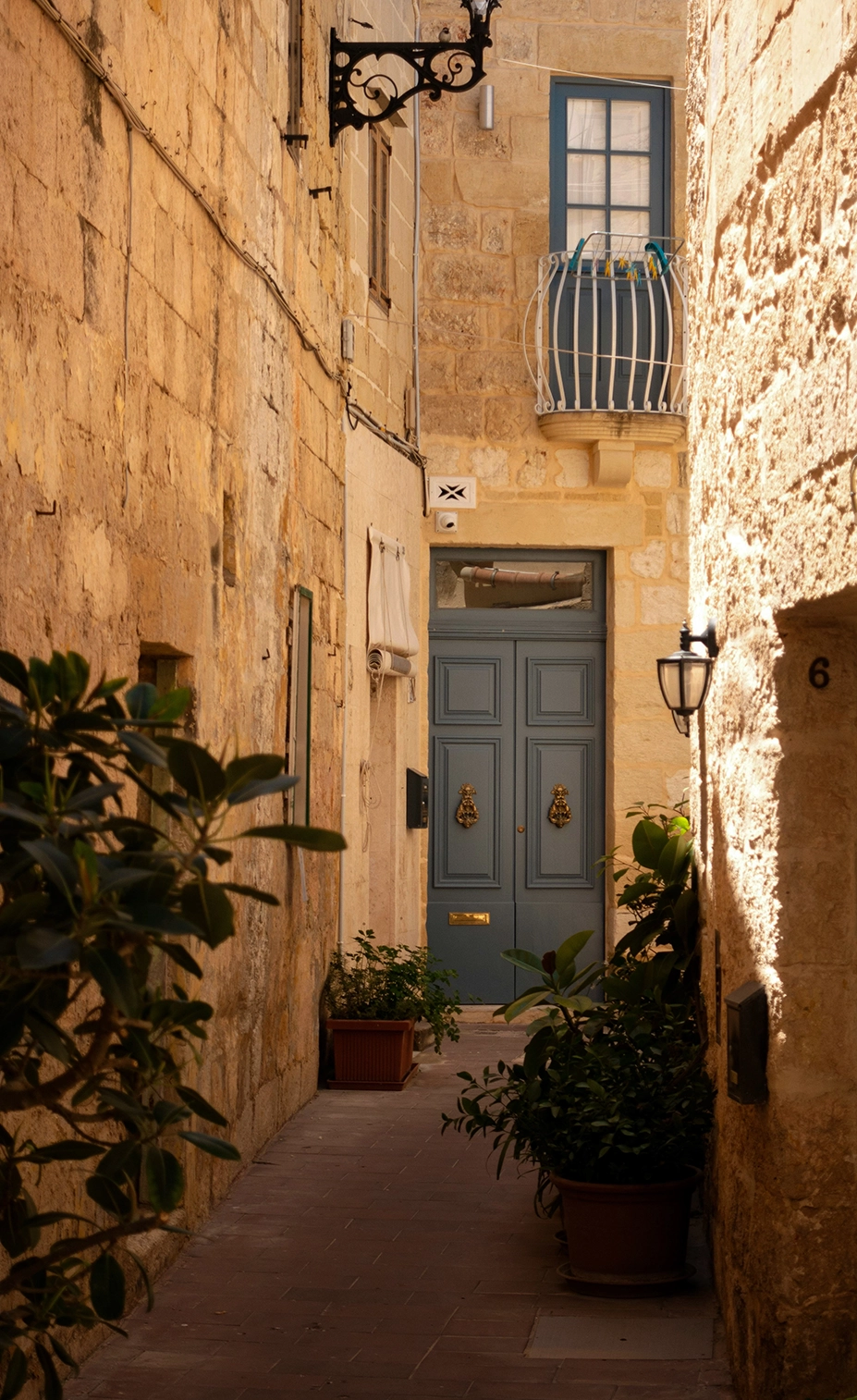 Ruelle pittoresque ensoleillée avec végétation luxuriante au cœur du village de Saint-Tropez.