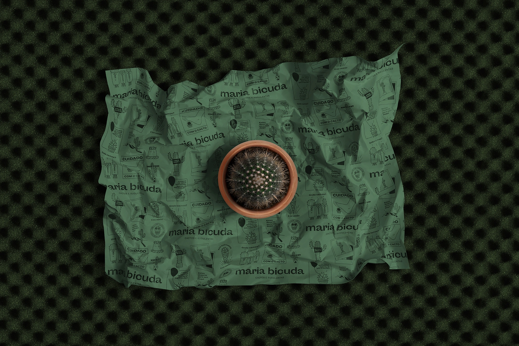 Maria Bicuda branded green wrapping paper with illustrated pattern and a cactus on top