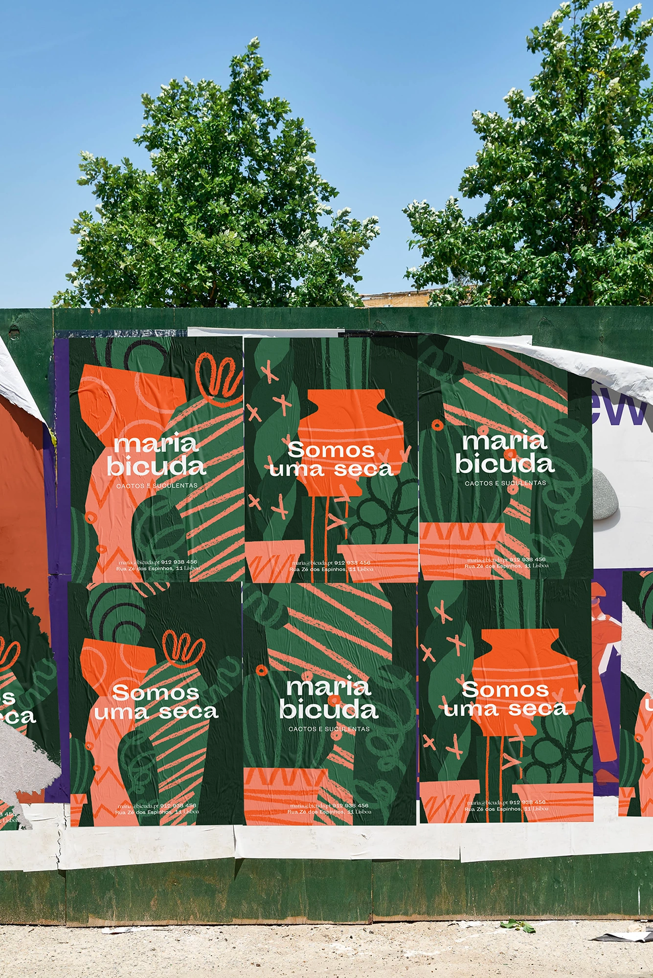 Maria Bicuda outdoor mural with brand identity and cactus illustrations on a building wall