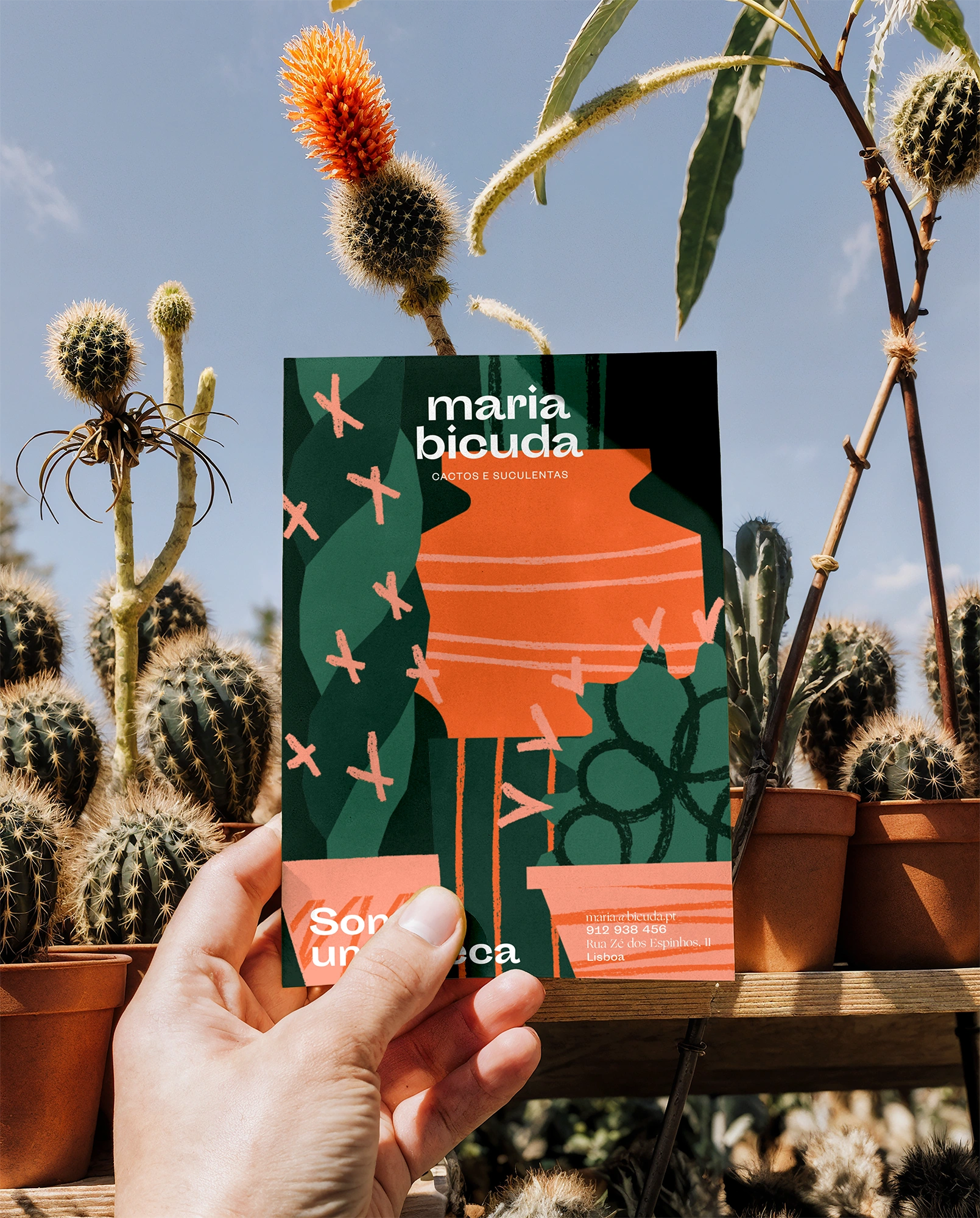 Hand holding Maria Bicuda branded flyer among cactus plants