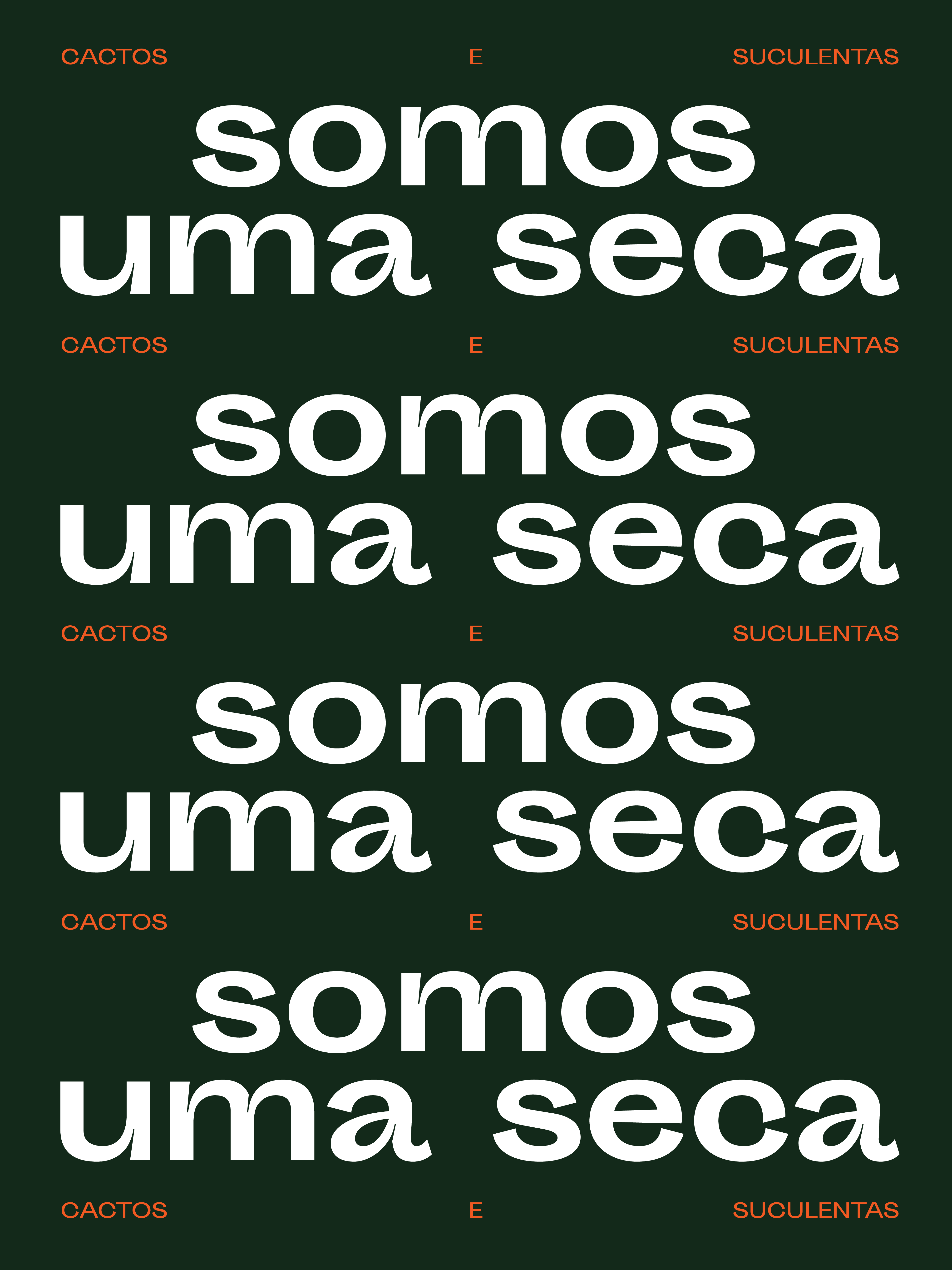 Maria Bicuda brand tagline typography in various sizes on dark green background