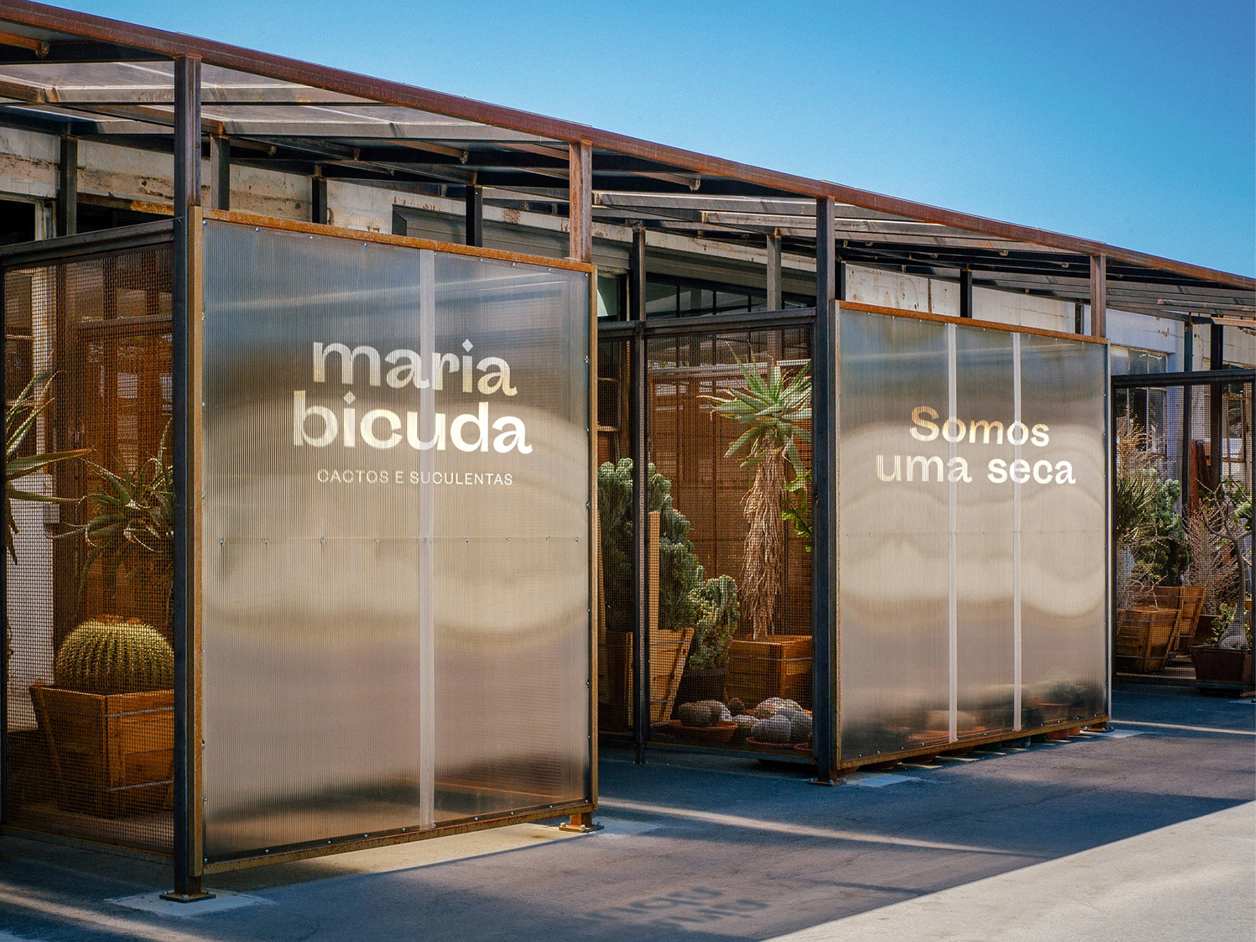 Maria Bicuda cactus shop exterior with brand signage on corrugated panels, designed by Miguel Dias