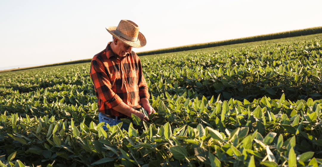 Agricultural and business property relief: What happened in the Budget?