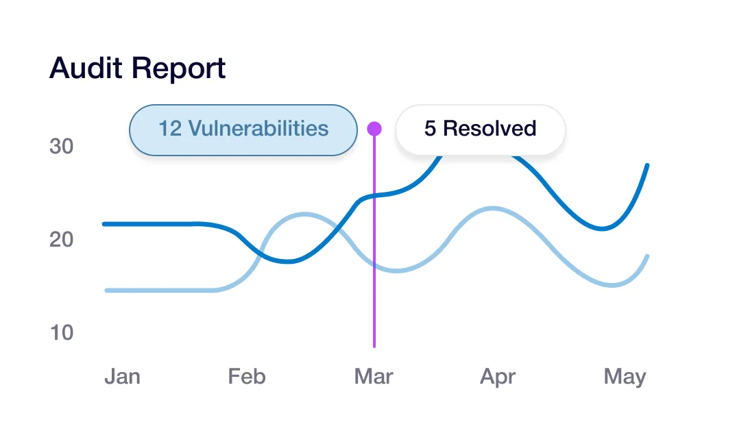 Line chart titled Audit Report showing 12 vulnerabilities and 5 resolved issues from January to May.