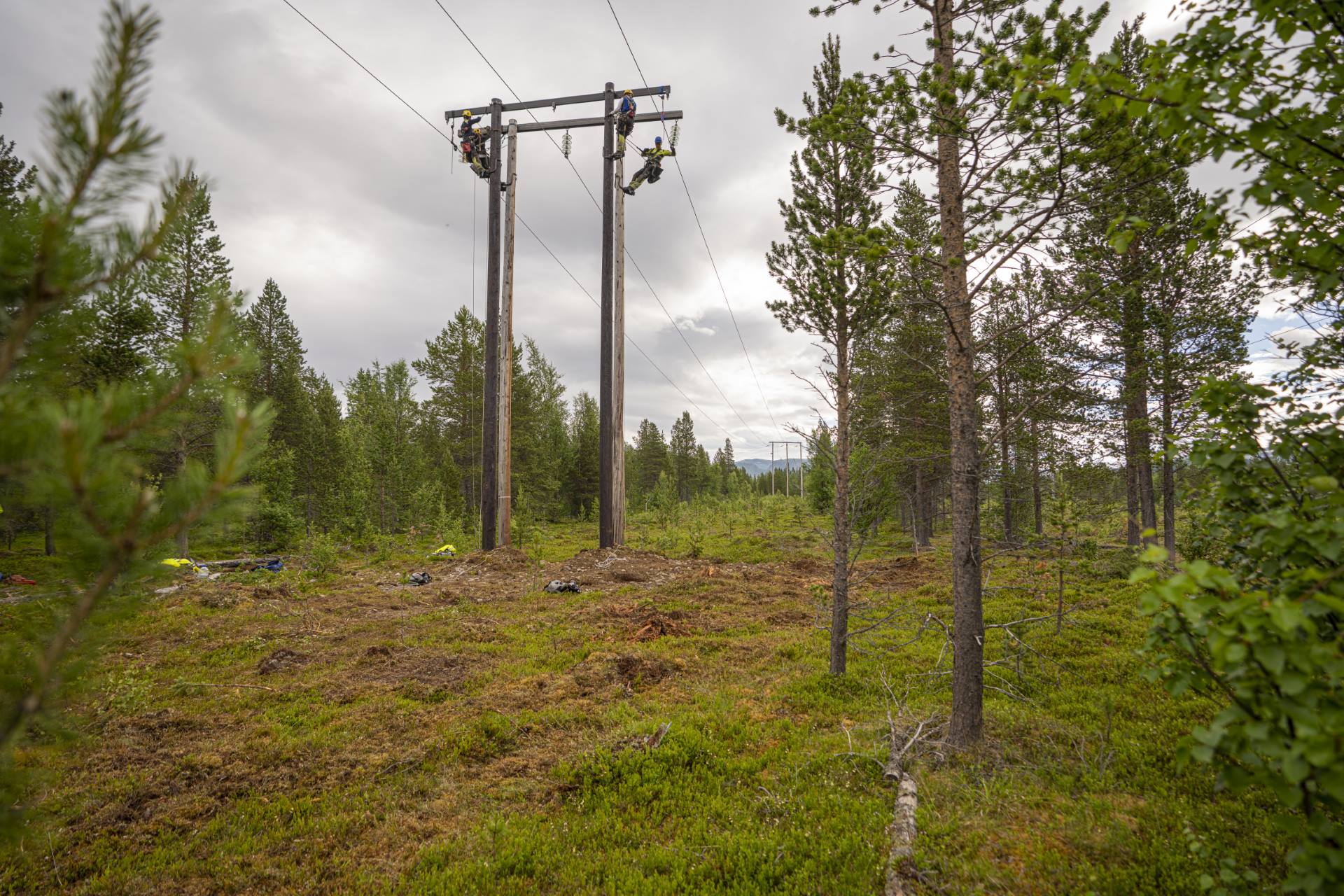 Tre elektrikere som arbeider i høyspenningslinje i en grønn skog under overskyet himmel.