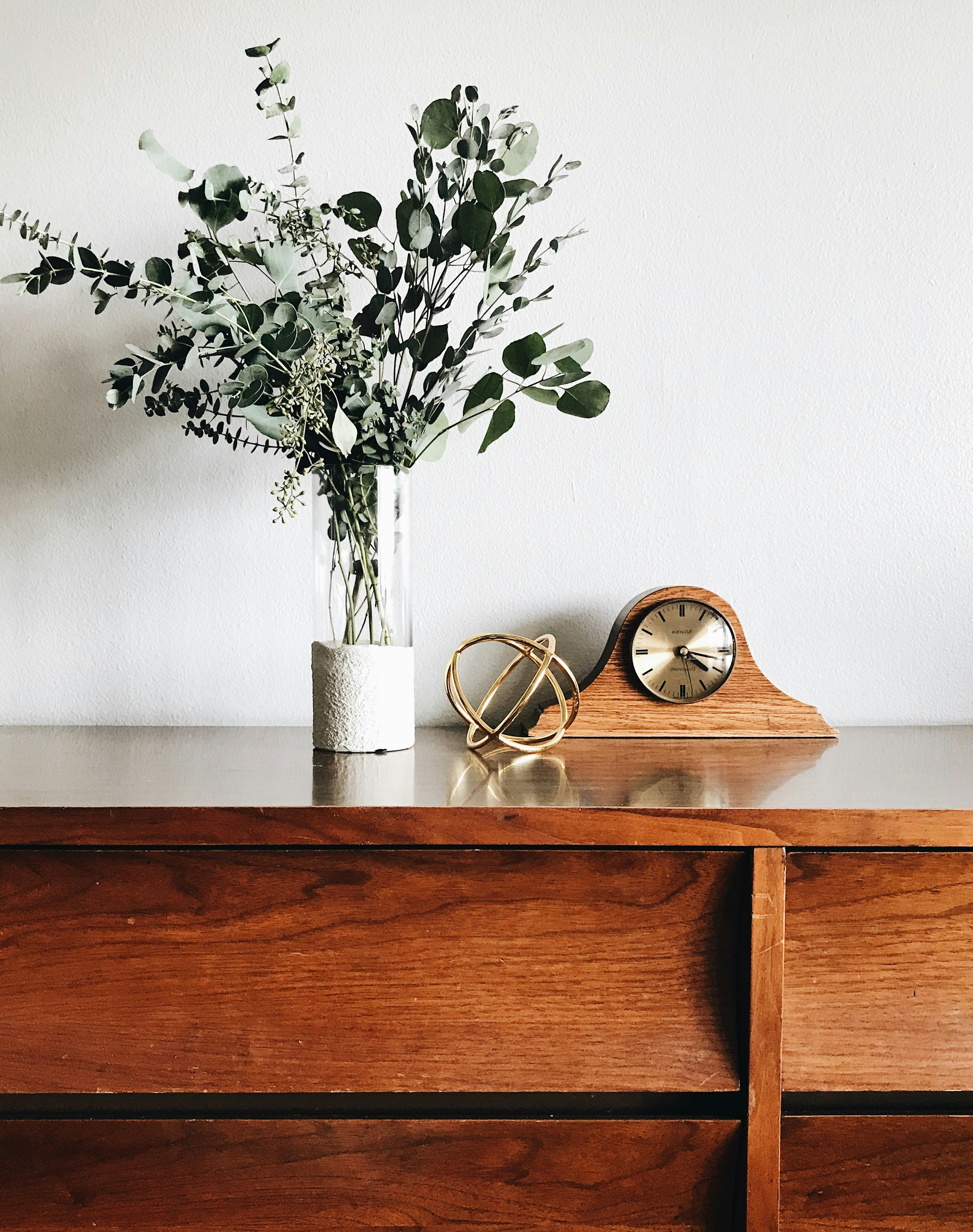plant on table stock image
