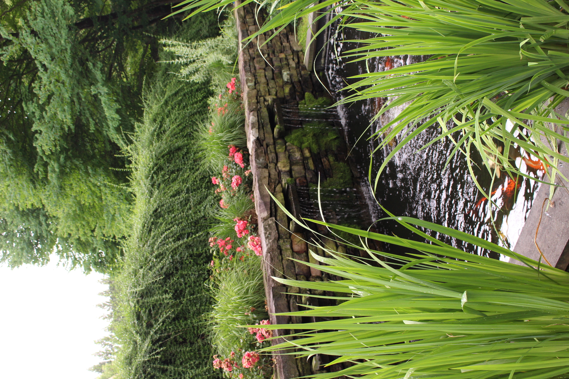 Landscape-image6