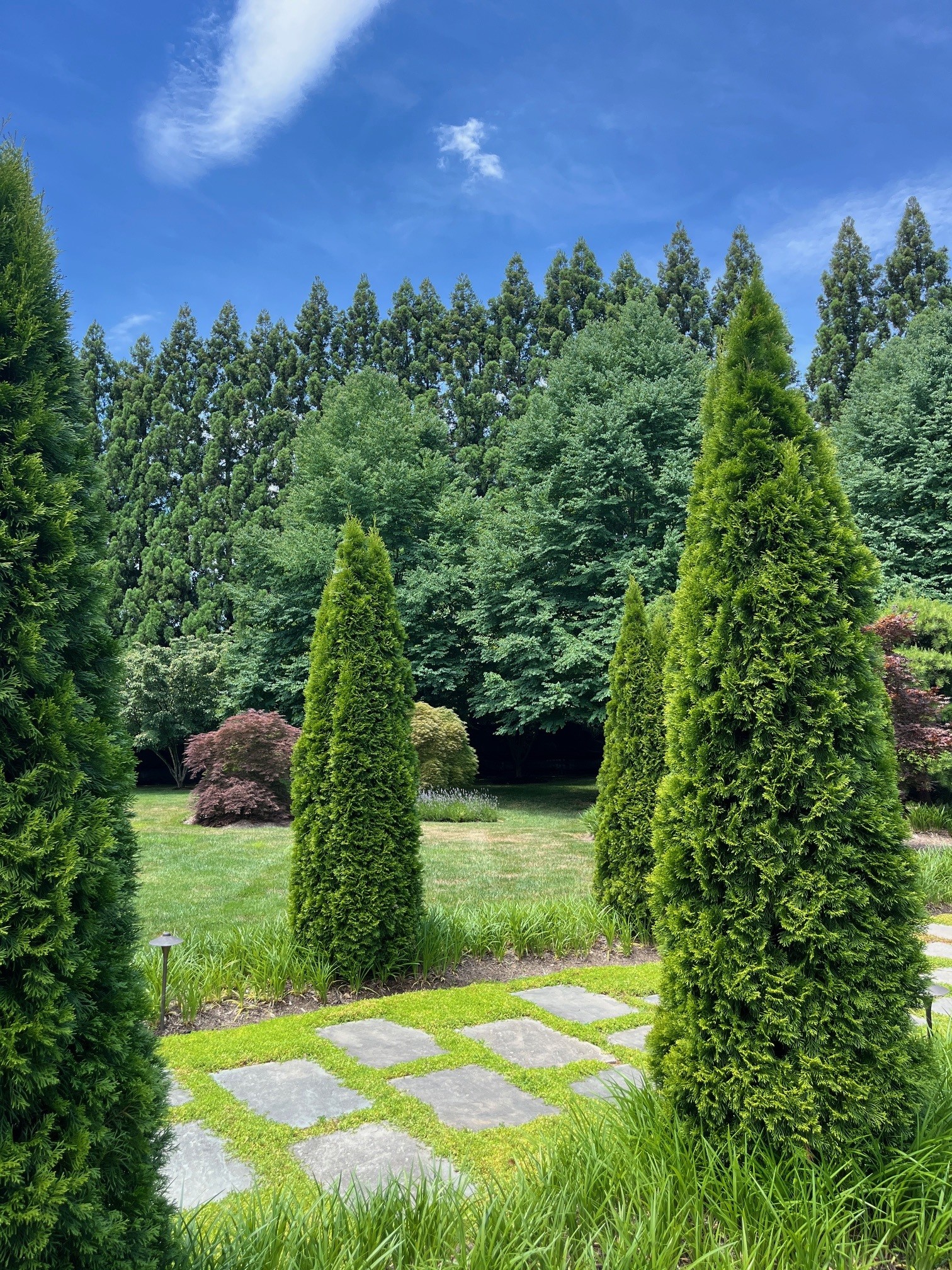 Landscape-image7