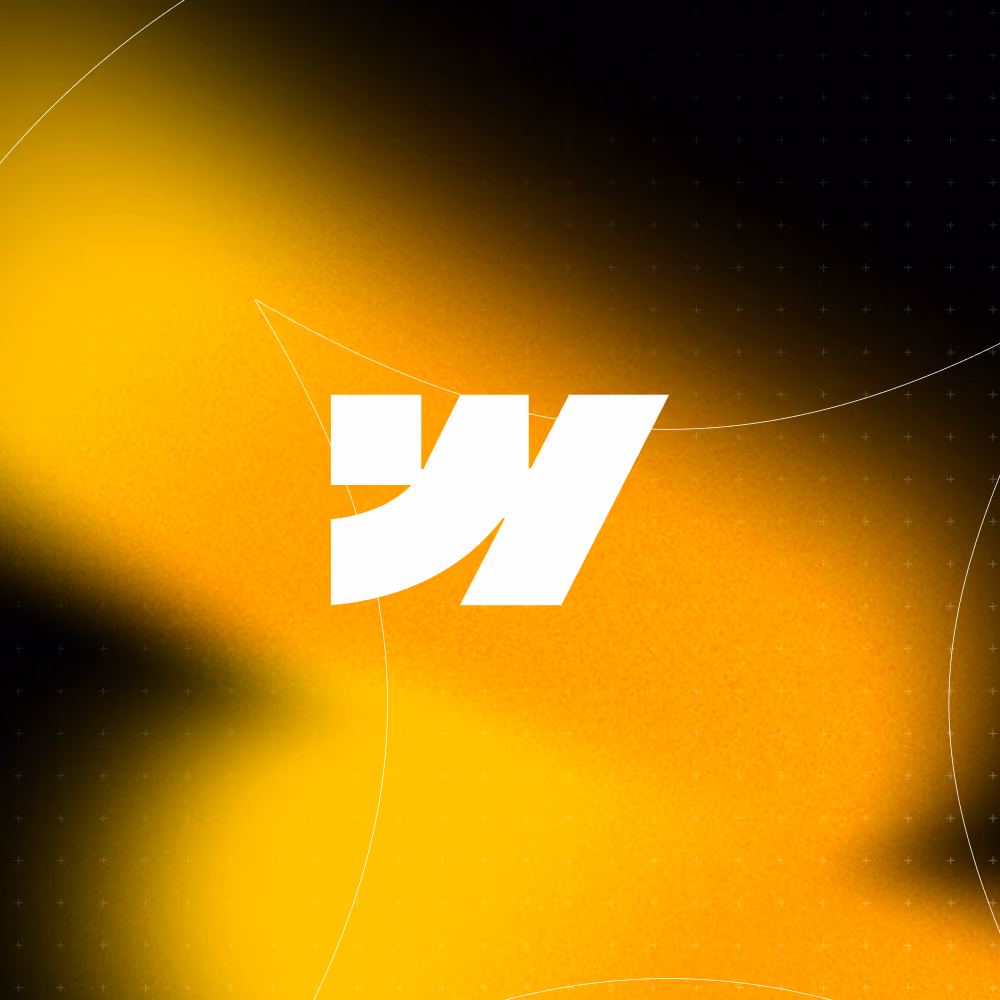 Webflow Profi-Kurs