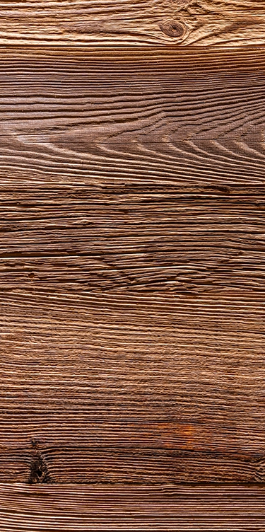 mur en bois ours blanc les menuires