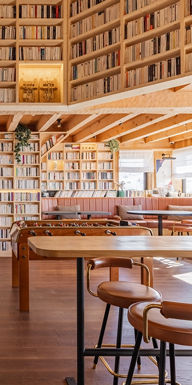 Bibliothèque Ours Blanc les menuires