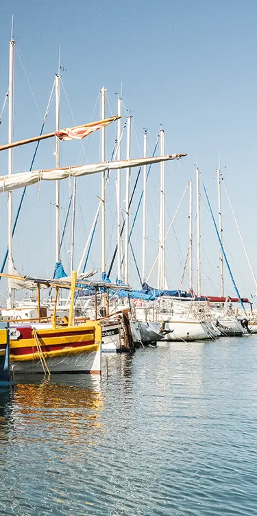 Port face à la Villa Camille Banyuls-sur-Mer