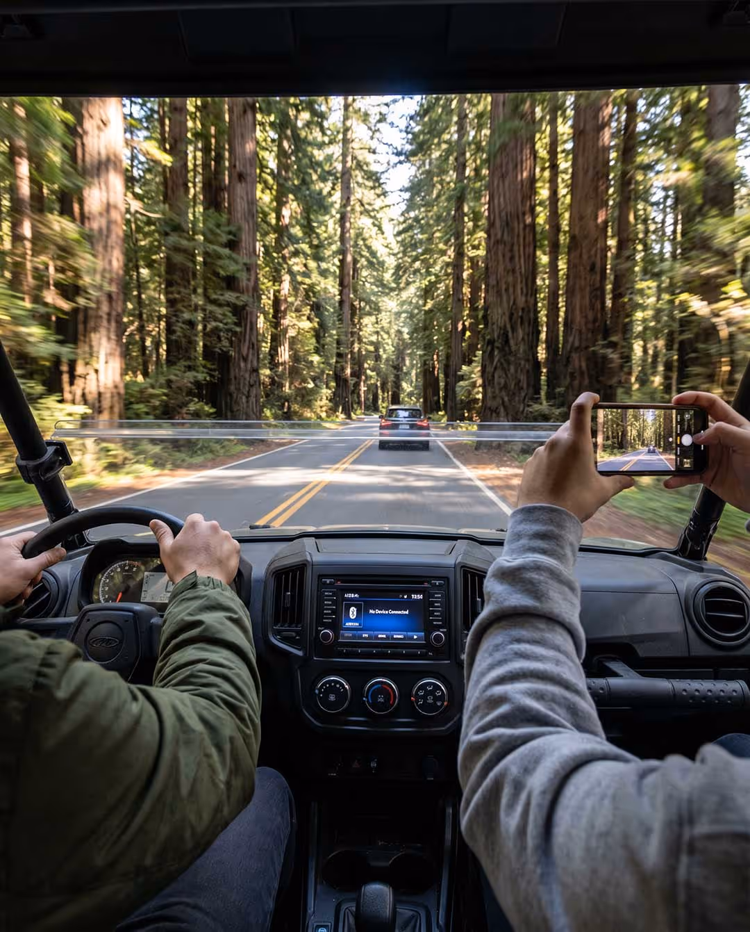 pov of driving through redwood