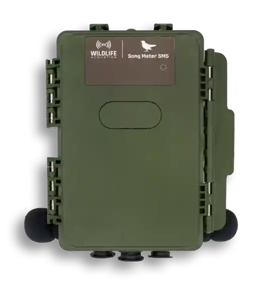 Green Wildlife Acoustics Song Meter SM5 device for recording bird songs.