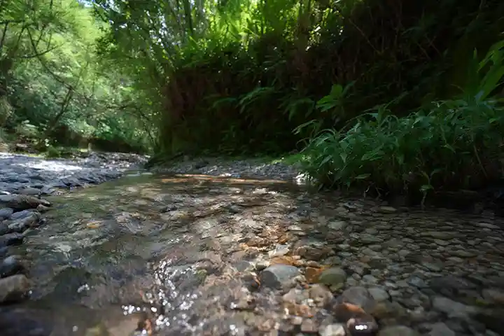 Usal Creek