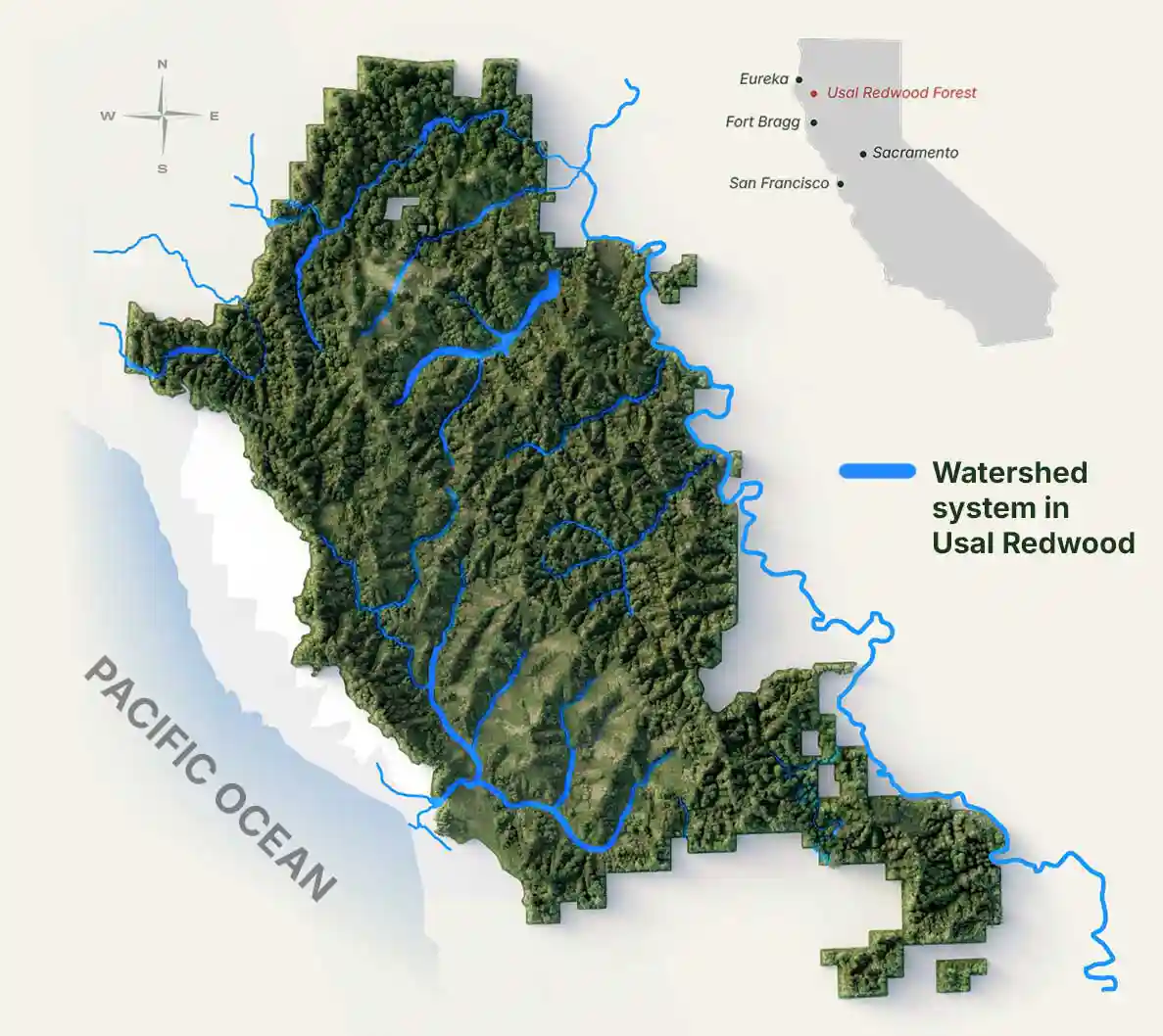 Usal Forest Map