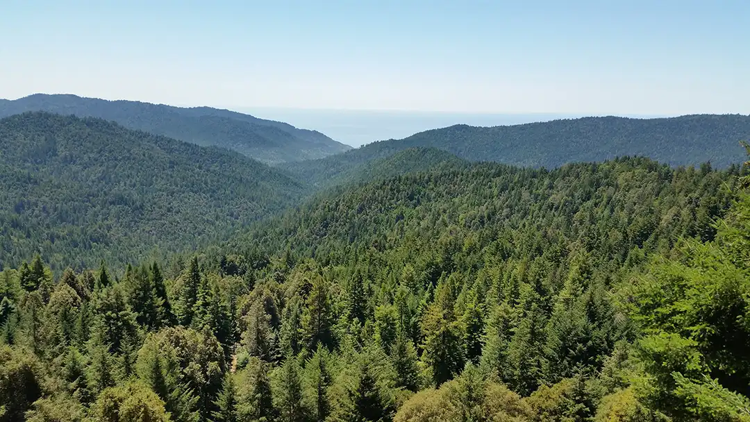 Forested mountain valley beneath clear blue skies