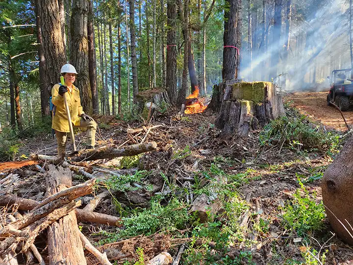 Worker holding a tool beside smoking forest debris