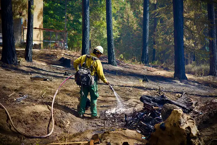 Worker spraying water onto charred forest debris