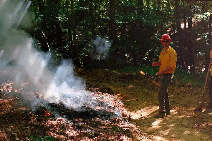 Worker tending smoldering debris beside a forest path