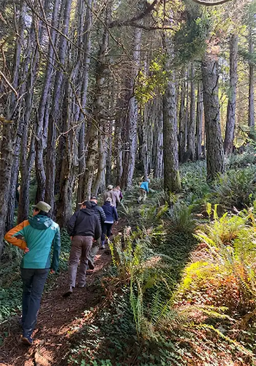 guests visiting forest