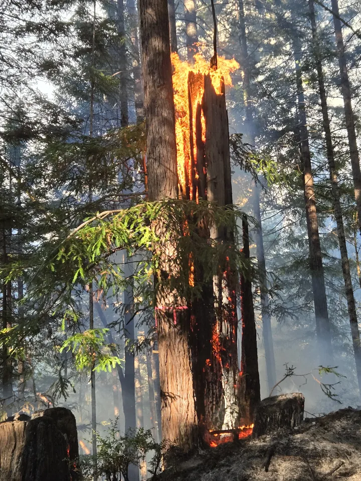 Prescribed fire training